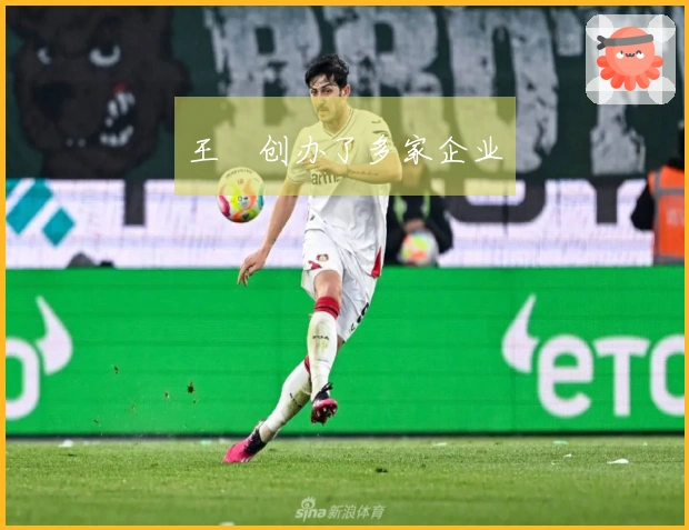 王濛创办了多家企业